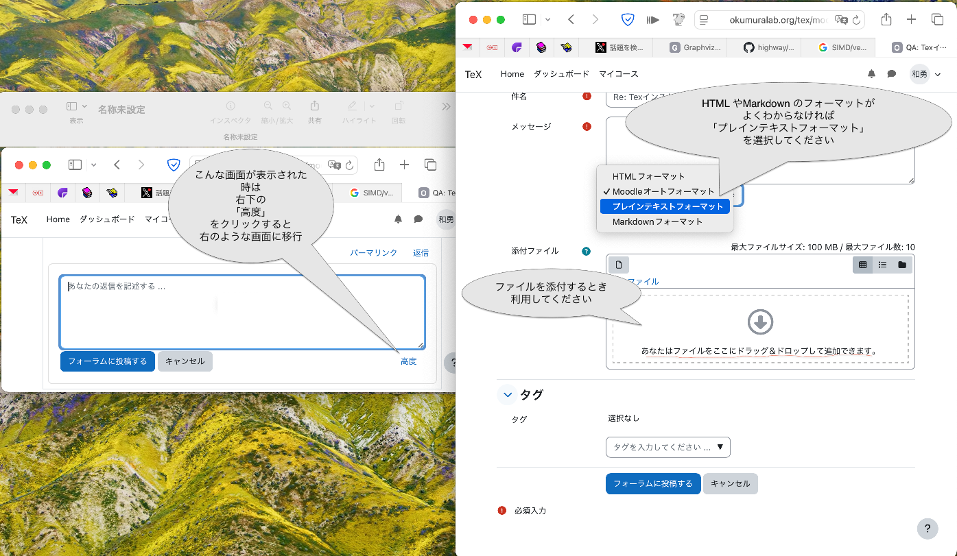 添付 TeXForum投稿について.png